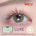 Luxe Olive